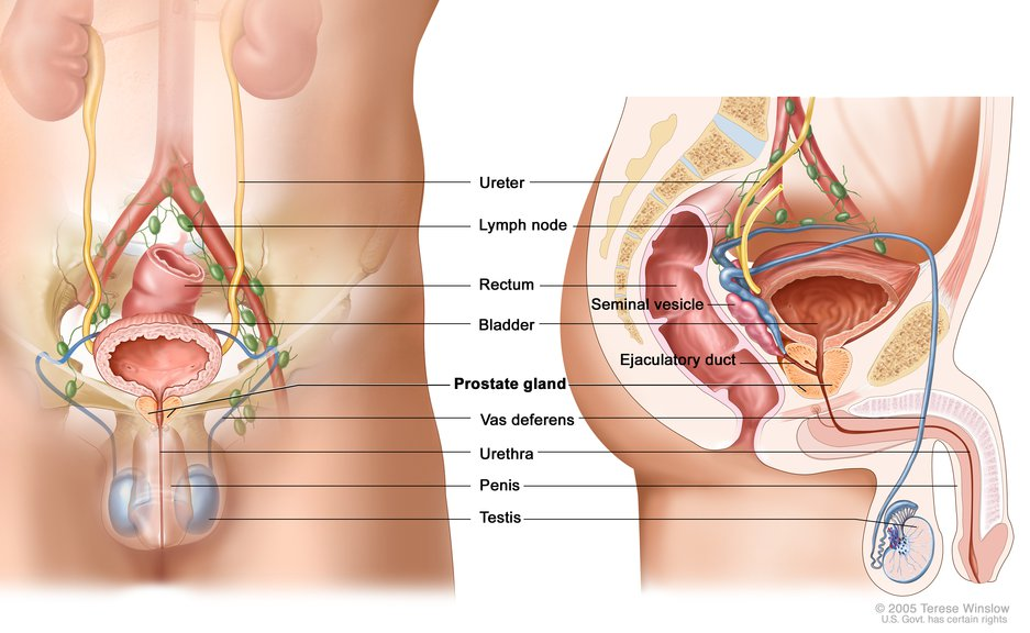 hiperplasia prostática grado 2 tratamiento durere la nivelul abdomenului inferior la bărbați